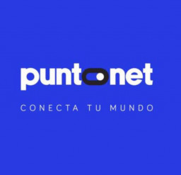 puntonet