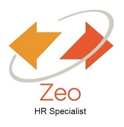 zeoconsulting